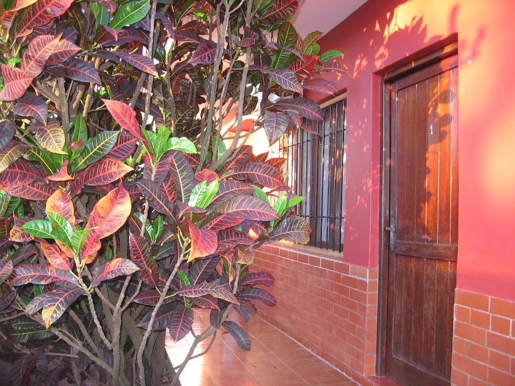Alecrin Apart Puerto Iguazú Esterno foto